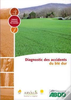 Capa do artigo Diagnostic Des Accidents Du Ble Dur Conduite Raisonnee Des Cultures