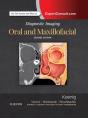Diagnostic Imaging: Oral And Maxillofacial E-Book - Preview