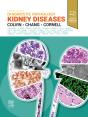 Diagnostic Pathology: Kidney Diseases E-Book - Preview