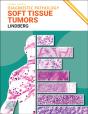 Diagnostic Pathology: Soft Tissue Tumors E-Book - Preview