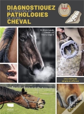 Capa do artigo Diagnostiquez Les Principales Pathologies De Votre Cheval : Une Méthode Simple Et Efficace