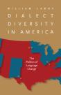 Dialect Diversity In America - Preview