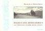 Dialogue Avec Arthur Rimbaud Sur L'Itineraire D'Addis Abeba A Harar - Preview