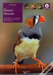 Capa do artigo Diamand Mandarin