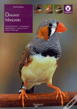 Capa do artigo Diamand Mandarin
