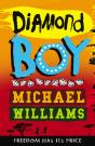 Diamond Boy - Preview