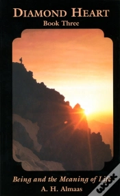 Capa do artigo Diamond Heart: Book Three