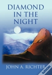 Capa do artigo Diamond In The Night