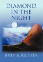Diamond In The Night - Preview