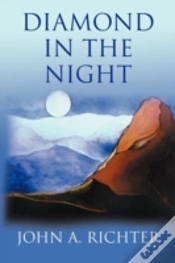Capa do artigo Diamond In The Night