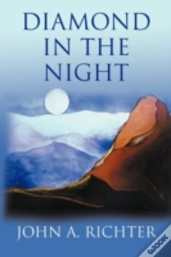 Capa do artigo Diamond In The Night