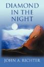 Diamond In The Night - Preview