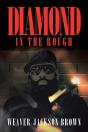 Diamond In The Rough - Preview