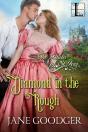 Diamond In The Rough - Preview