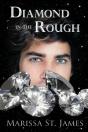 Diamond In The Rough - Preview