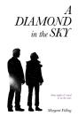 Diamond In The Sky - Preview