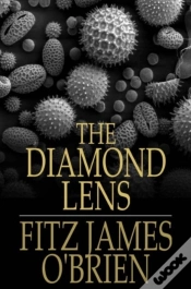 Capa do artigo Diamond Lens