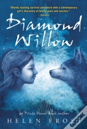 Capa do artigo Diamond Willow