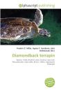 Diamondback Terrapin - Preview