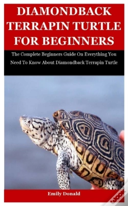 Capa do artigo Diamondback Terrapin Turtle For Beginners