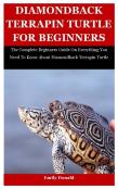Diamondback Terrapin Turtle For Beginners