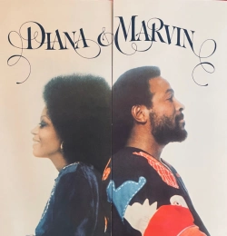 Capa do artigo Diana & Marvin - Vinil