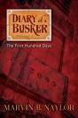 Diary Of A Busker - Preview