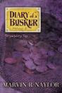 Diary Of A Busker - Preview