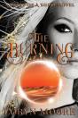 Diary Of A Deity - The Burning - Preview