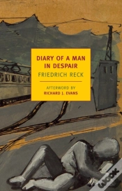 Capa do artigo Diary Of A Man In Despair
