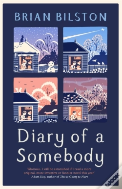 Capa do artigo Diary Of A Somebody
