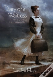 Capa do artigo Diary Of A Waitress