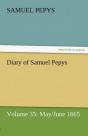 Diary Of Samuel Pepys - Volume 35 - Preview