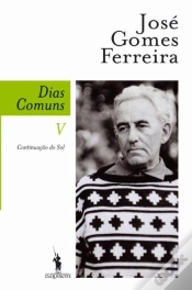 Capa do artigo Dias Comuns V. Continuação Do Sol