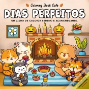 Capa do artigo Dias Perfeitos