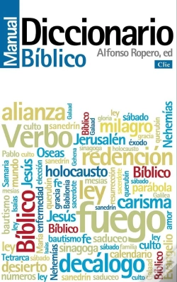 Capa do artigo Diccionario Manual B?Blico