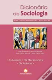Capa do artigo Dicionário de Sociologia - 2008
