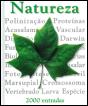 Dicionário Escolar da Natureza - Preview