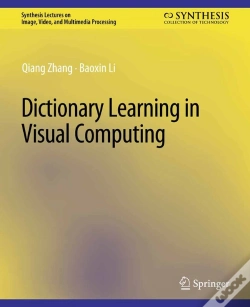 Capa do artigo Dictionary Learning In Visual Computing