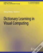 Capa do artigo Dictionary Learning In Visual Computing