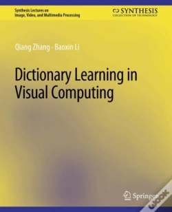 Capa do artigo Dictionary Learning In Visual Computing