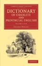 Dictionary Of Obsolete And Provincial English - Preview