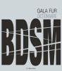 Dictionnaire Bdsm - Preview