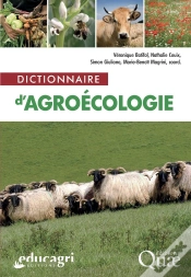 Capa do artigo Dictionnaire D