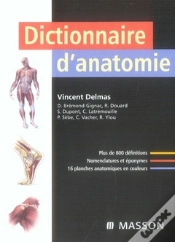 Capa do artigo Dictionnaire D