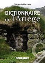 Capa do artigo Dictionnaire De L