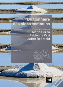Capa do artigo Dictionnaire Des Biens Communs