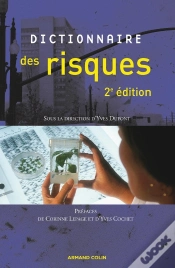 Capa do artigo Dictionnaire Des Risques (2e Édition)