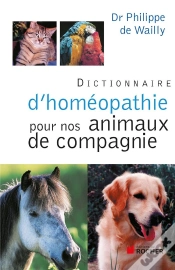 Capa do artigo Dictionnaire D
