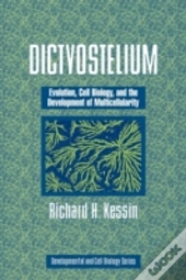 Dictyostelium
